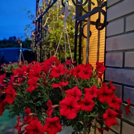 Motel Гостинично-Банный Комплекс Орхидея Kiev